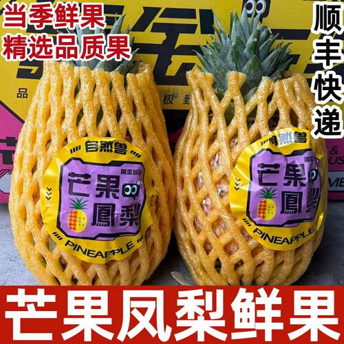 芒果凤梨精选大果树上熟金凤梨当季新鲜水果清甜多汁顺丰标签随机