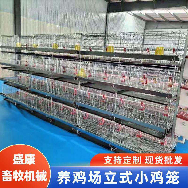 热镀锌立式小鸡笼子育雏鸡笼子畜牧机械设备养殖场多层小鸡笼子