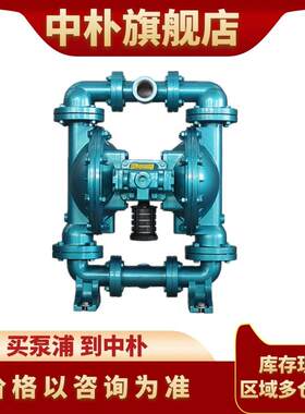 skylink斯凯力气动隔膜泵LS15 AA-AA-T/N-TT-TT-00 陶瓷厂喷釉泵
