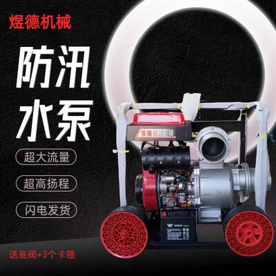 柴油机抽粪泵养殖场排污下水道清淤河道抽污泥泥浆泵