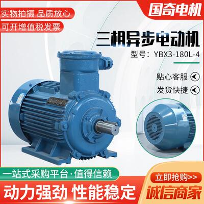 YBX3-180L-4三相异步电动机加工22KW粉尘隔爆电机立式卧式电动机