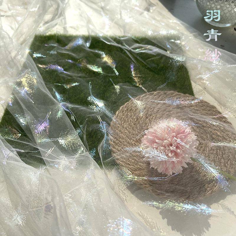 幻彩网纱布料ins羽毛镭射幻彩印花拍照纱裙子白色蕾丝透明纱面料