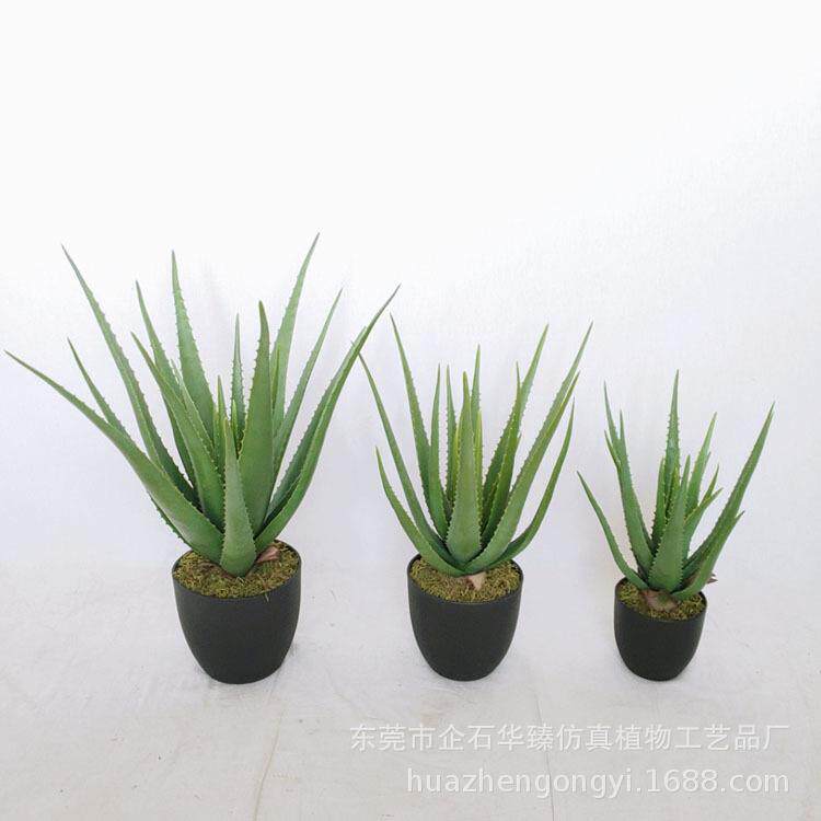 仿真多肉植物芦荟盆栽家居办公室室内装饰盆栽软装室内造景配件