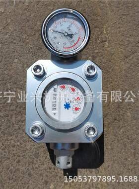 煤层 GSG型双功能高压注水表 煤层高压注水表 封孔器表矿用