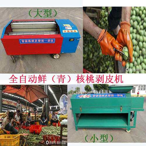 核桃去皮清洗一体机山东鲜核桃去青皮机核桃去青皮清洗一体机