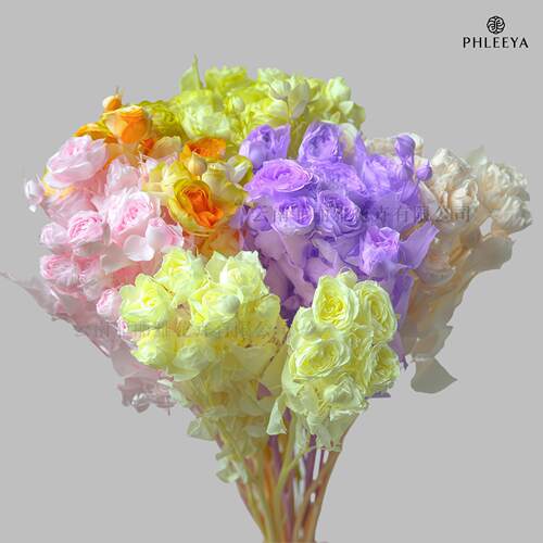 永生花玫瑰花干 干燥花束永生多头玫瑰漂色保鲜花diy高级感手工花