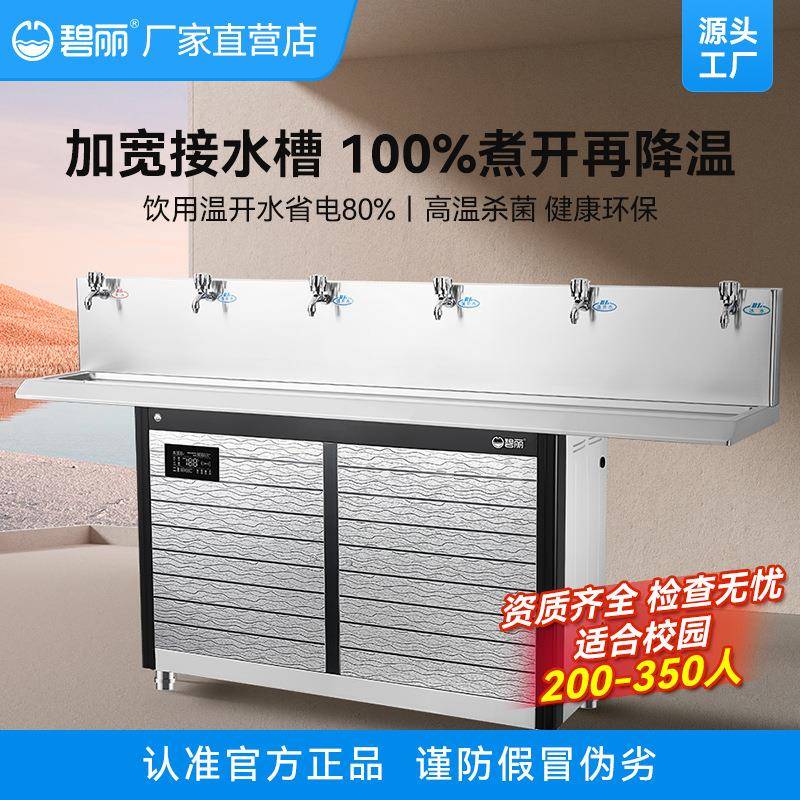 碧丽学校节能饮水机校园单位教学楼教室反渗透温开水直饮水机6E