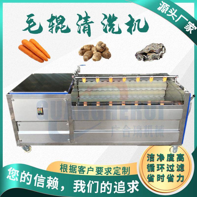 供应杏干毛辊清洗机 牛蒡去泥萝卜赤芍清洗机 海蛎子毛辊清洗机