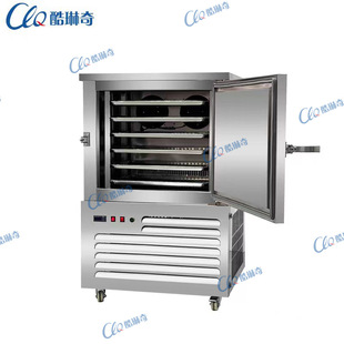 商用冷冻柜冰箱立式冰柜零下40度急冻低温小冷柜急速降温保鲜口味