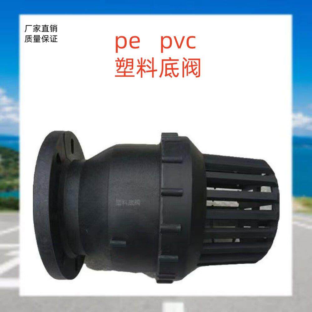 PE法兰塑料底阀抽水泵耐酸碱水处理化工过滤阀止回莲篷头水泵DN50图片