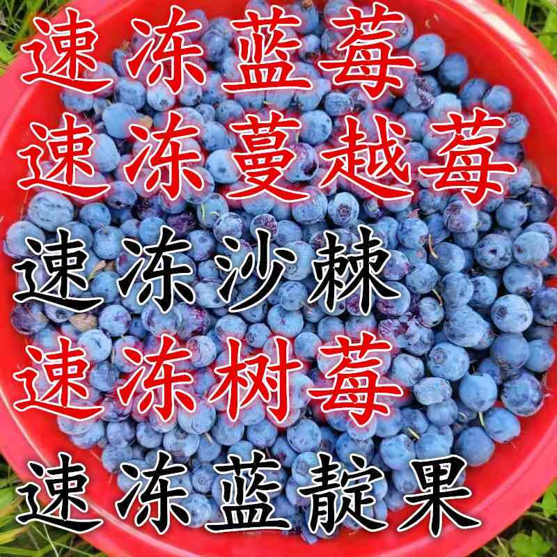 大兴安岭鲜果冷冻野生蓝莓蔓越莓蓝靛果树莓沙棘组合果酱奶昔