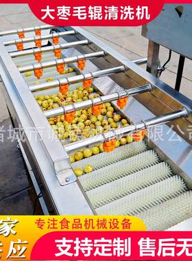 工业用全自动果蔬毛辊清洗机新会柑毛刷清洗机枇杷毛辊清洗机设备