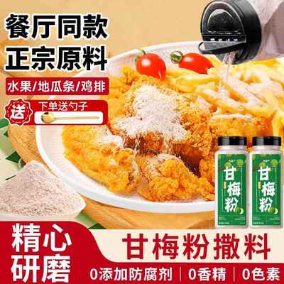 甘梅粉撒料水果地瓜条鸡排正宗梅子粉商用家用调味料官方旗舰店