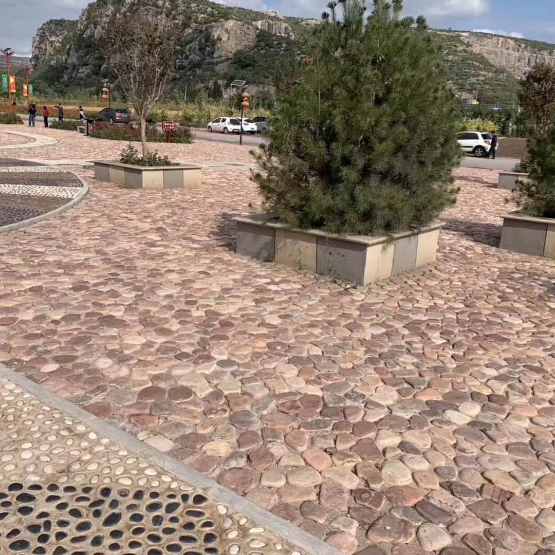 河卵石切片包686石园林公面园河卵石生态摆瓶造景鹅景卵石微观件