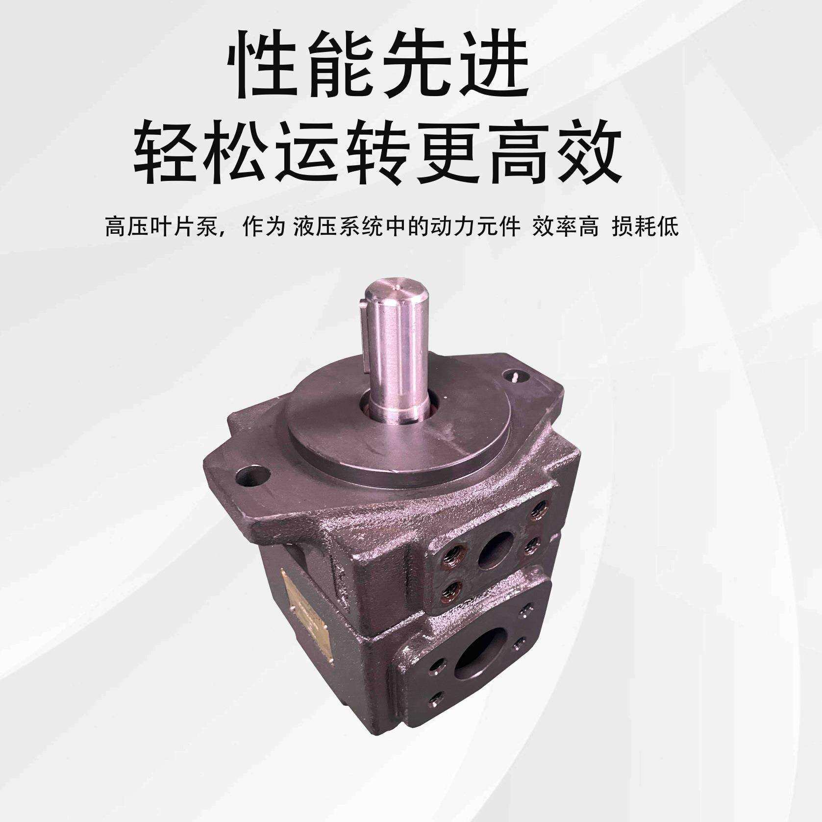 德力PV2R1叶片泵PV2R2液压泵总成PV2R3液压油泵柱塞泵适用注塑机