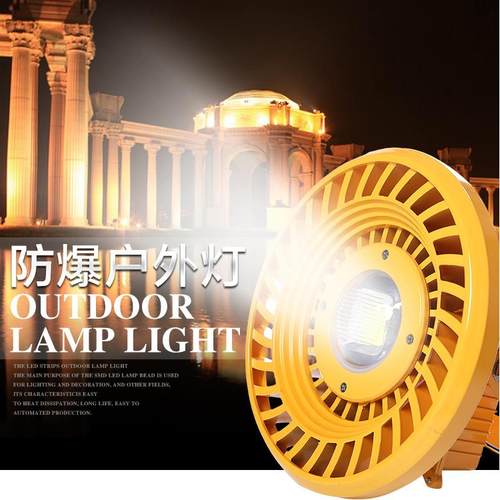led防爆灯隧道灯低压12v24v36v加油站仓库厂房投光灯220v50w100w