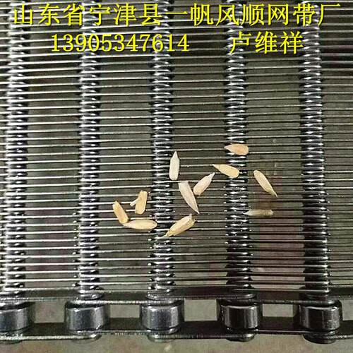 输送烘干机网带  陶瓷烘干机网链 链网  专业厂家专心制做