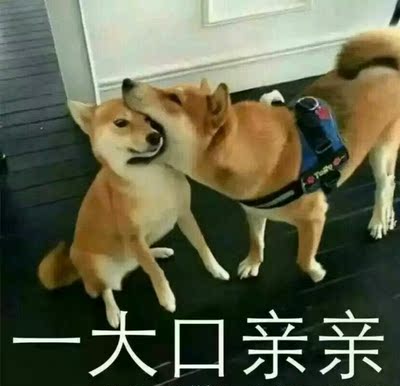 松下指纹锁怎么样?用后21天,告诉大家实情感受