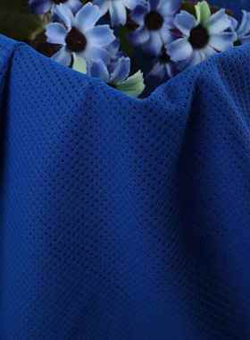 440S高针织眼布弹弹力透气运动布料10网g锦纶90038运动短裤鸟眼面