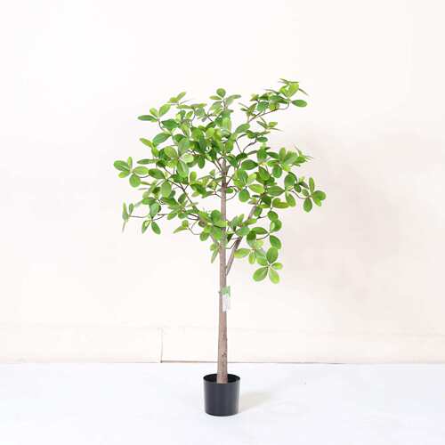 仿真室绿盆植福禄桐树落地栽内客仿真绿植道厅装饰摆件酒店橱窗造