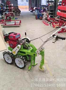 CSE省机力快起速多行挖蒜蒜机蒜 前置式大蒜收获 不伤蒜振动筛刨