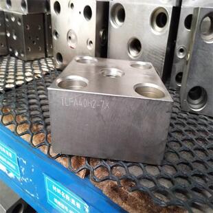 泰丰供应TTLFA025DBWT 型盖板厂家直销 液压机配件