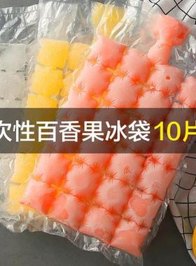 Disposable Ice Packs, 10-Pack Ice Bags, Ice Making Bags, Dou