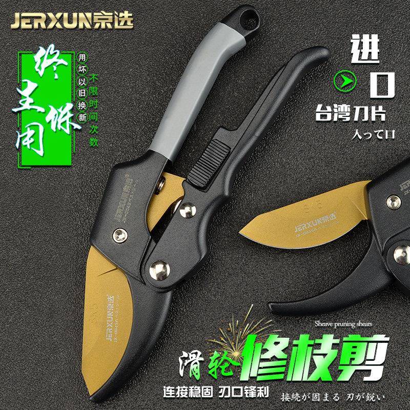 京选进口果树修枝剪刀园艺修剪树枝园林省力修花枝剪强力粗枝剪子图片