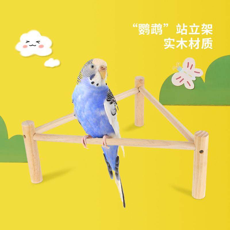 鹦鹉架子八哥实木鸟用站杆鸟玩具厂家亚马逊三角型木质鸟架,宠物/宠物食品及用品,鸟玩具,淘宝优惠券,粉丝福利购,淘宝优惠卷