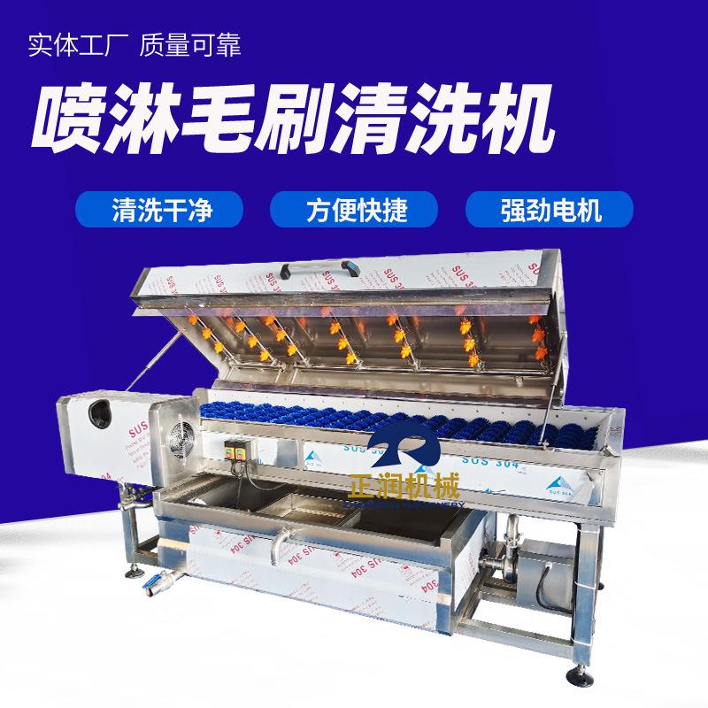 连续式长寿果去泥清洗机干果厂花生核桃清洗机商用烟薯去泥机