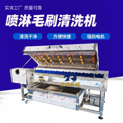 供应地果清洗机商用毛辊喷淋黄皮姜去泥机连续式莲菜清洗机