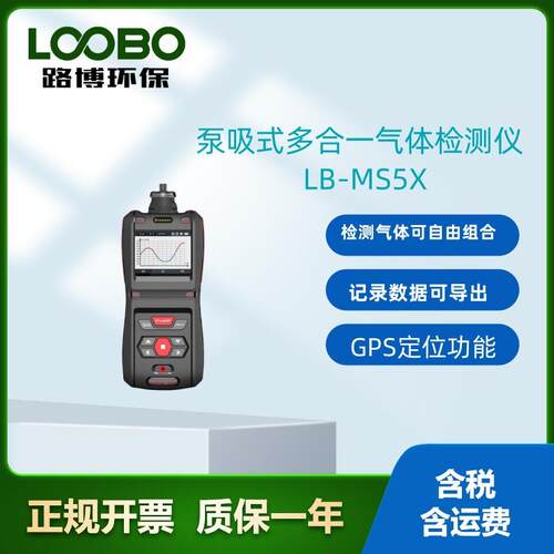 B-MS5X泵吸五合一多气体检测仪（PID，LEL，O2，CO，H2S）