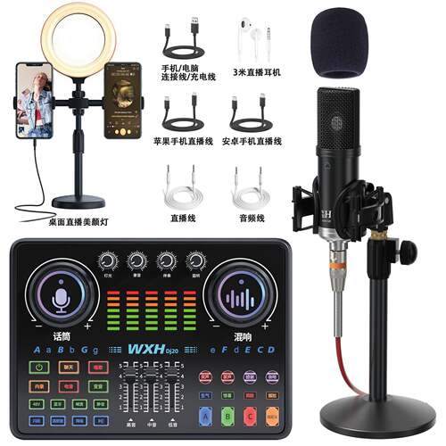 HiFi动感音质48V专业直播声卡套装娱乐K歌声卡设备手机话筒声卡