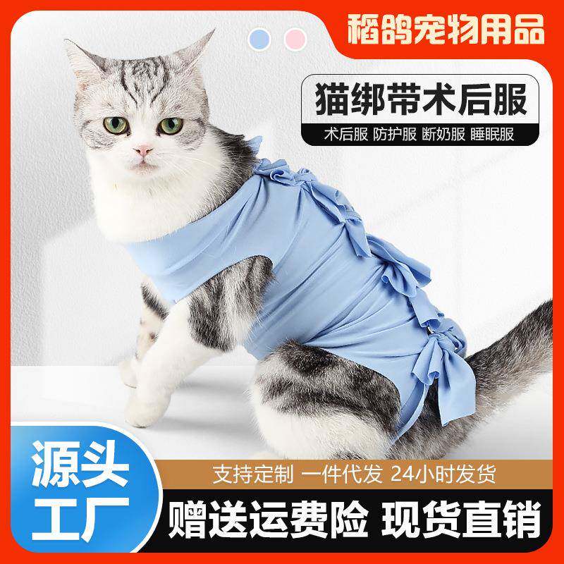 宠物衣服猫衣服术后绝育服断奶防舔隔离细菌透气舒适狗比熊生理裤