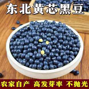 2024年新黄心小粒黑豆东北农家自产打豆浆专用生髪豆芽类五谷杂粮