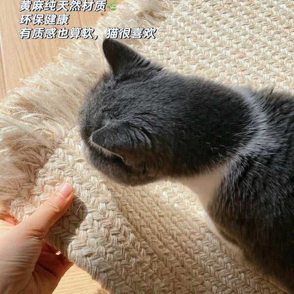 白麻流保苏编织几方形地毯环无毯胶客厅YZP茶床边书房卧室地垫可