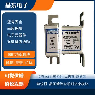 全新罗兰熔断器DN000UB69V125M330038DN000UB69V160N330039