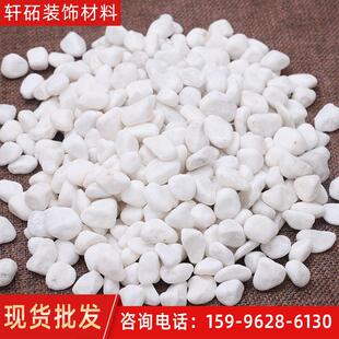白色鹅卵石雪花白盆栽多肉铺面小石子庭院装饰园林造景石头砂石