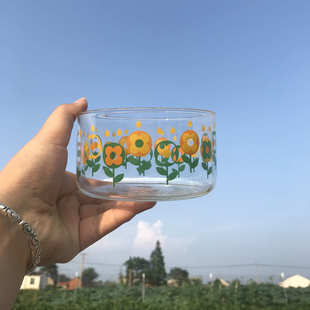 复古涂鸦小花草莓印花高硼硅耐热玻璃可微波沙拉碗家用 法式
