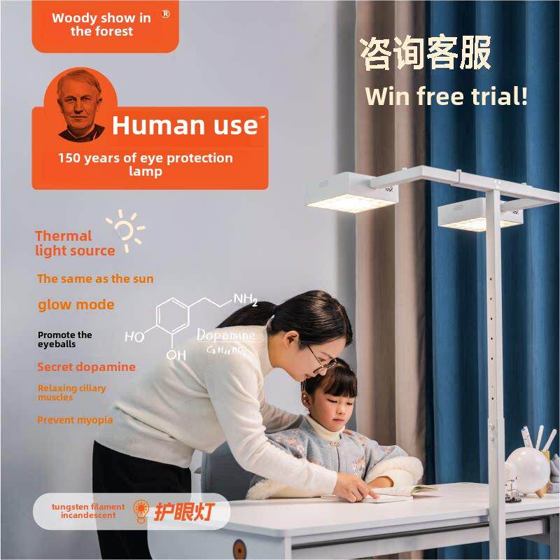 木玉玉林热光源双头路灯落地灯钨丝白炽全光谱无影智能语音