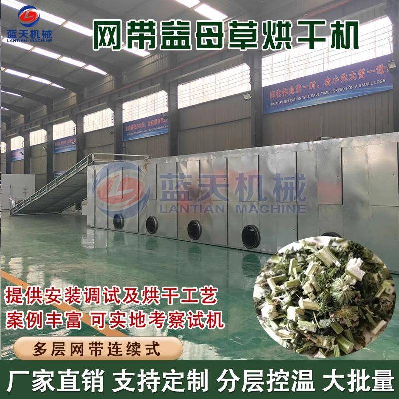 益母草烘干机益母蒿益母艾烘干设备生物质燃料网带中草药干燥机