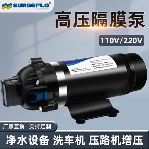 DP-160S超杨程大压力泵110v220v交流电压小型净水器压路机泵