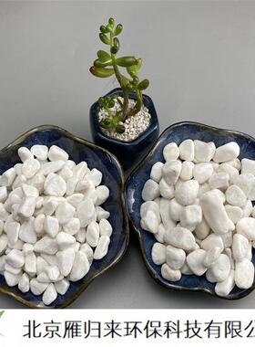 白石子 水洗石 庭院铺地园林造景 枯山白色水磨石 白砂白色砾石