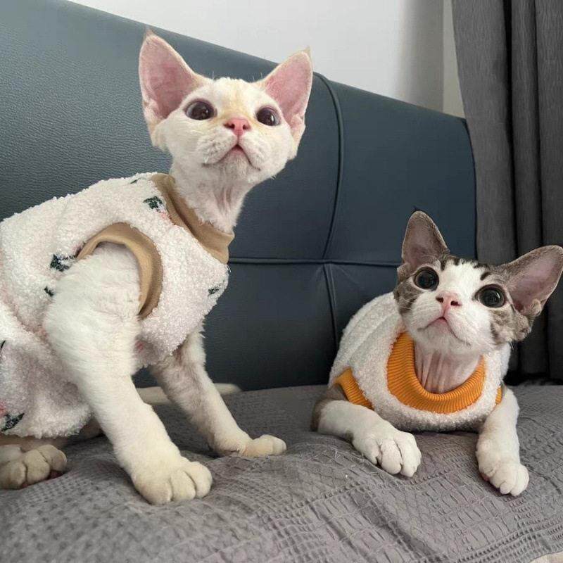 斯芬克斯无毛猫咪德文猫衣服冬季防寒超萌背心式