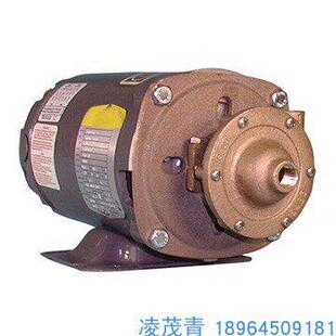 OBERDORFER 离心泵 Centrifugal Pumps 101M 104M 109MB 119 170M