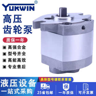 液压泵铝合金高压齿轮泵CB B12ALB机床用加压泵压力稳定液压系统