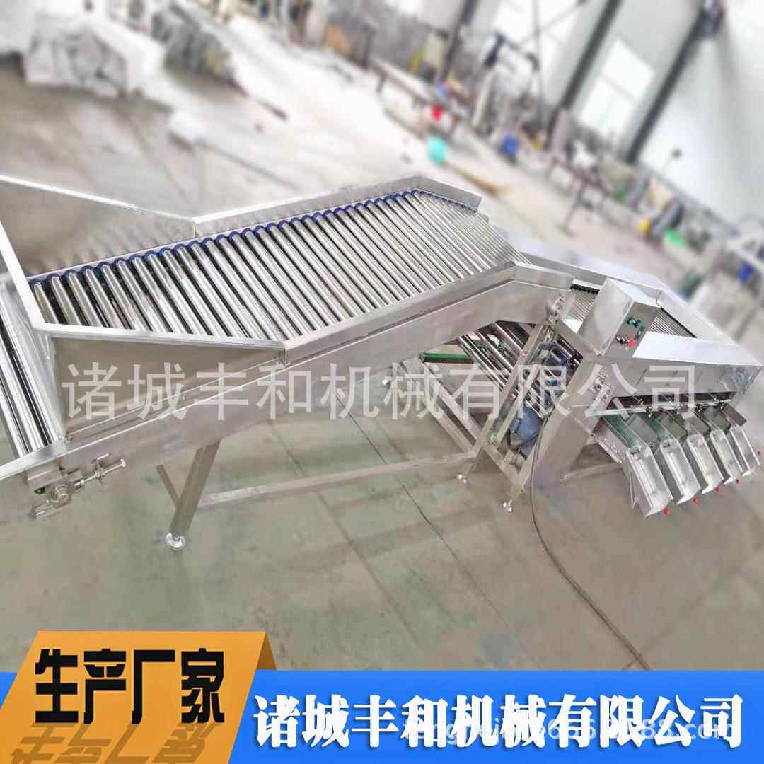 果蔬分级机厂家 马蹄山竹大小分级机 枇杷分级机 滚杠式分级机