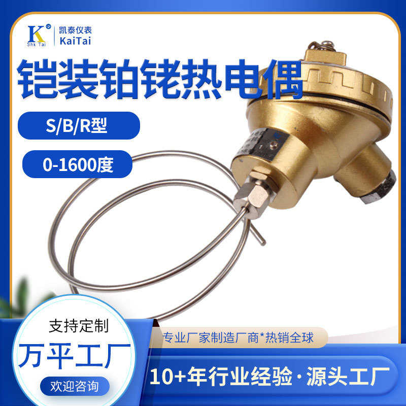 S型铠装铂铑热电偶WRPK-131  S型B型R型尺寸齐全耐高温0.5偶丝