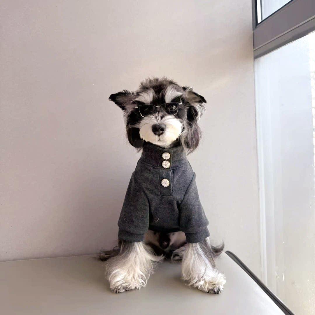 狗衣服春夏小型犬夏薄款猫衣服夏阿比西尼亚猫衣服德文猫宠物衣服