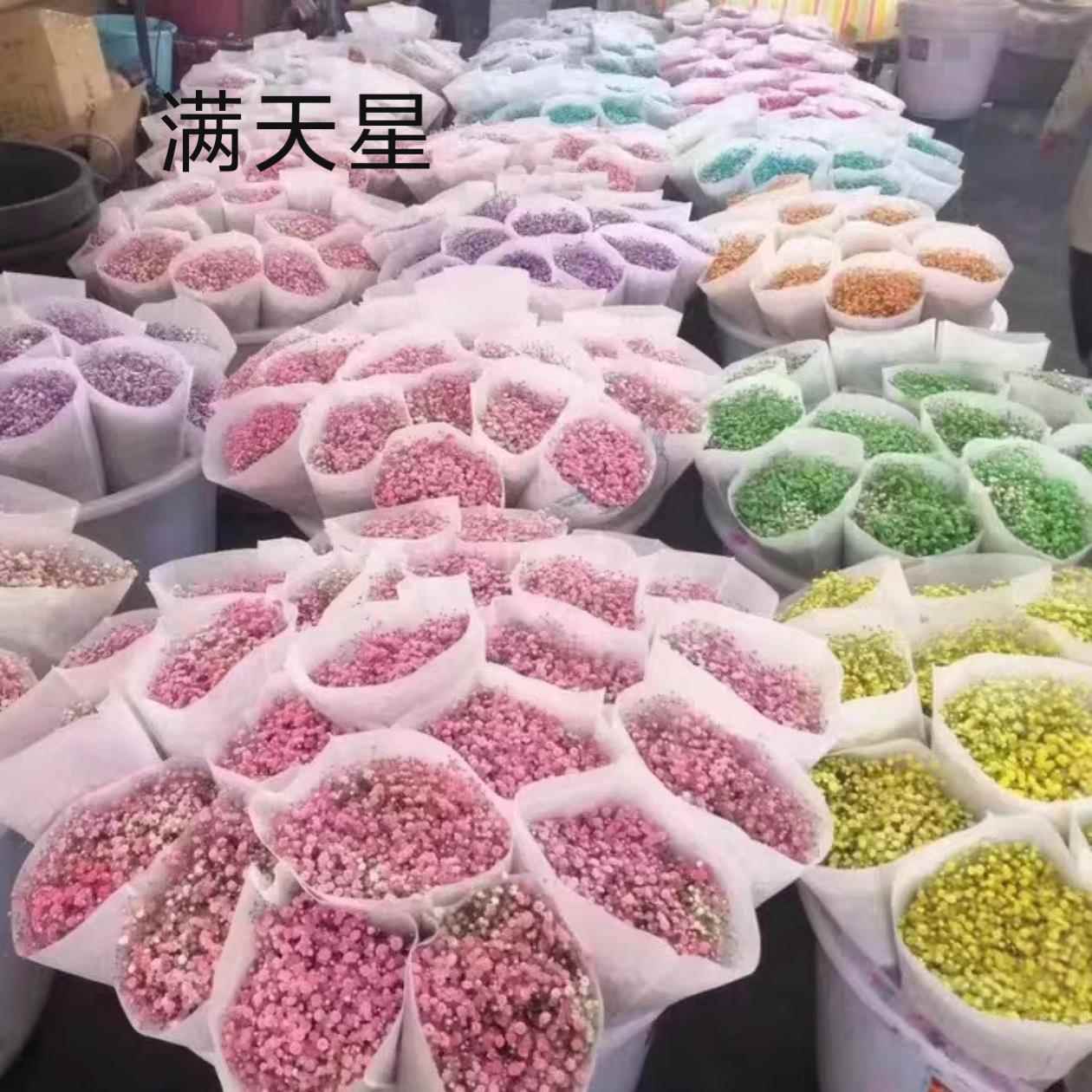 永生满天星 真花家庭家居摆设客厅花束高级鲜花混搭diy网红生日批